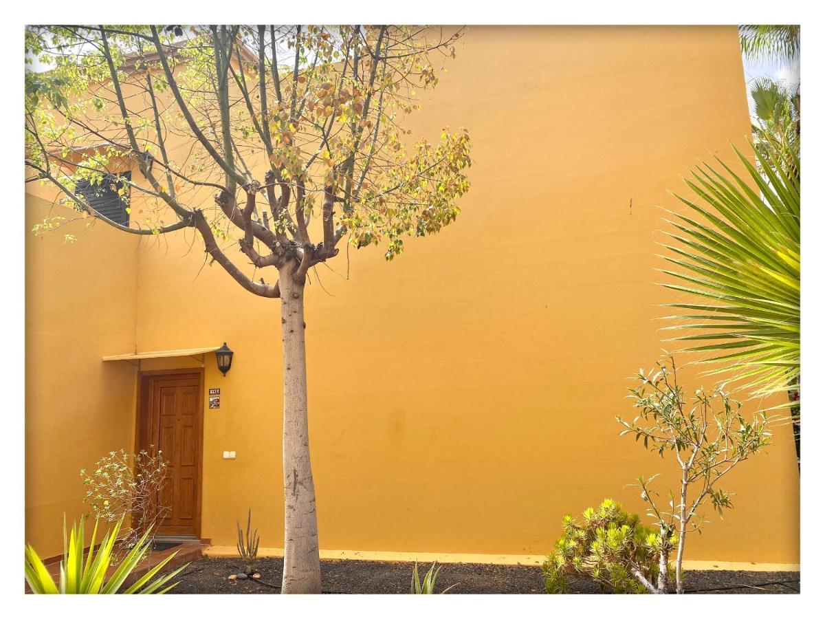 Tamarindo Pura Vida - Relax Y Vistas Al Mar Apartment Corralejo Exterior photo